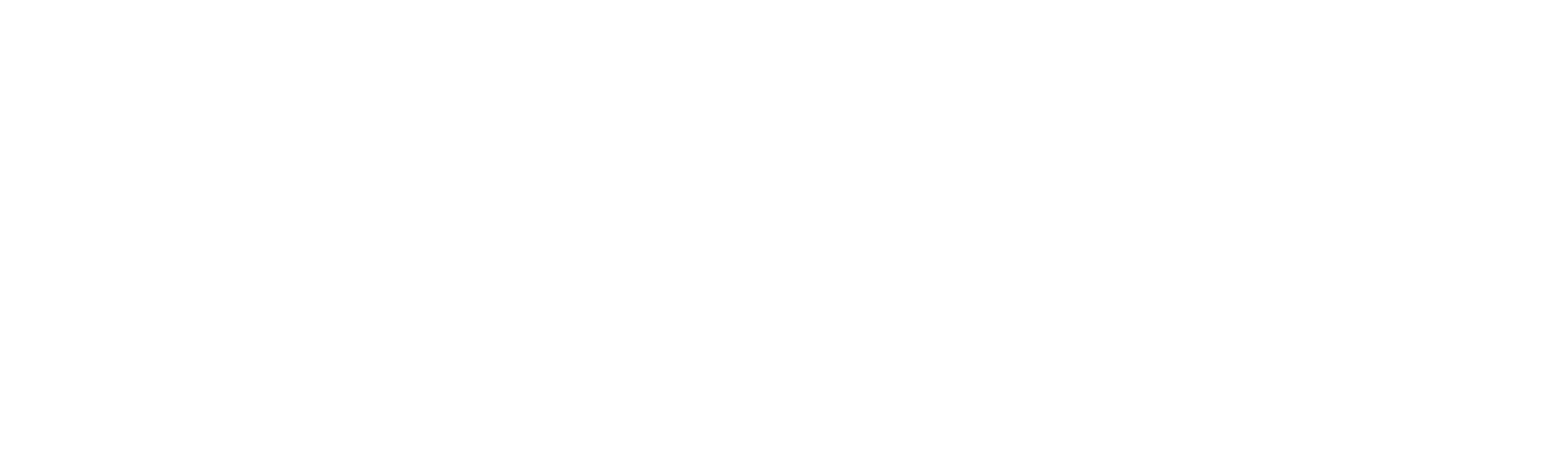 logo light